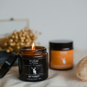 Cinnamon Spice Soy Candle